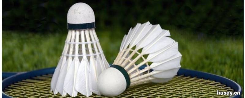 饭后多久可以打羽毛球 饭后多久打羽毛球减肥