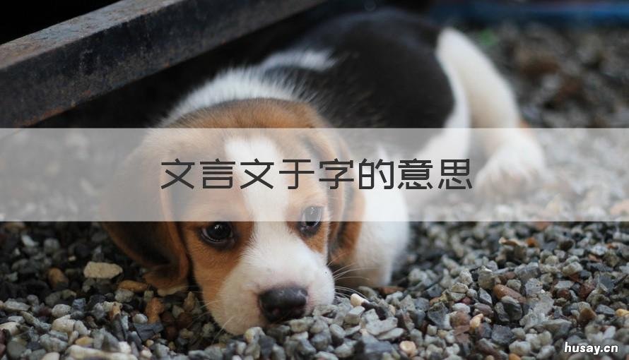 文言文于字的意思 文言文字的意思能在新华字典吗
