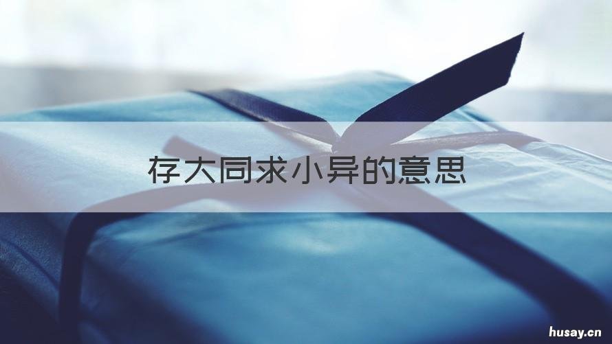 存大同求小异的意思