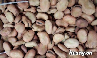 兰花豆如何切皮 兰花豆如何切皮视频