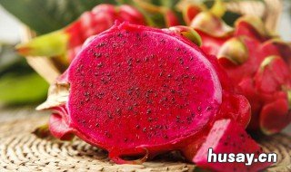 如何在北方种植火龙果 火龙果能在北方种植吗