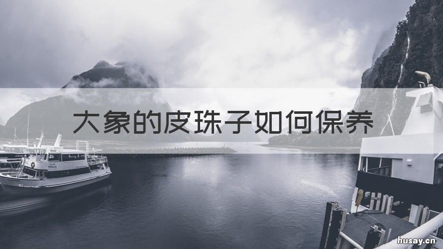 大象的皮珠子如何保养 象牙佛珠怎么保养