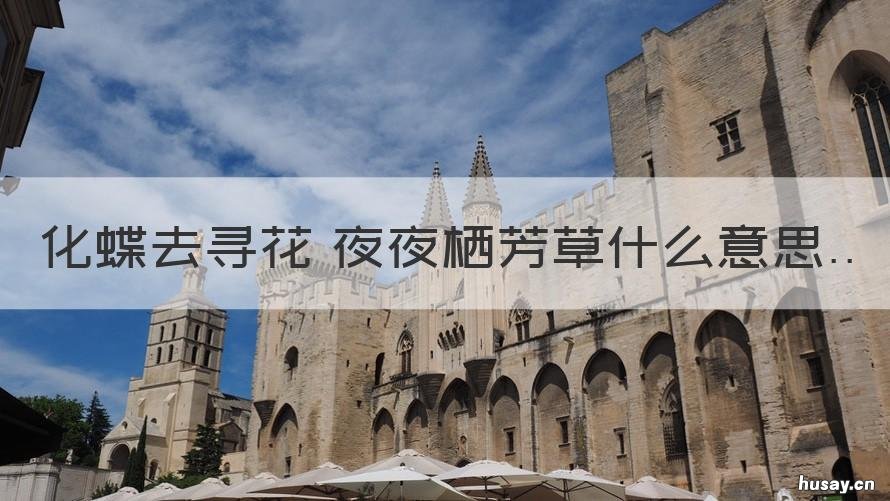 化蝶去寻花 夜夜栖芳草什么意思 生君未生,君生我已老 化蝶去寻花,夜夜栖芳草