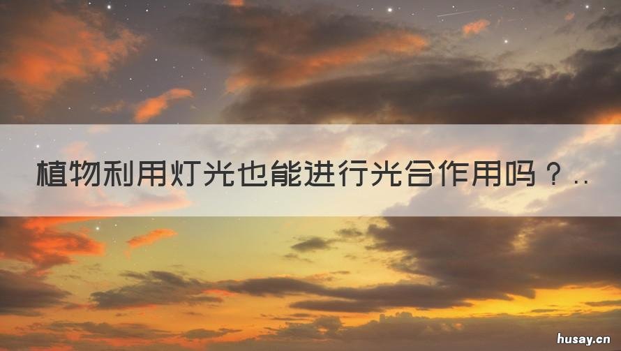 植物利用灯光也能进行光合作用吗 植物利用灯光也能进行光合作用对吗