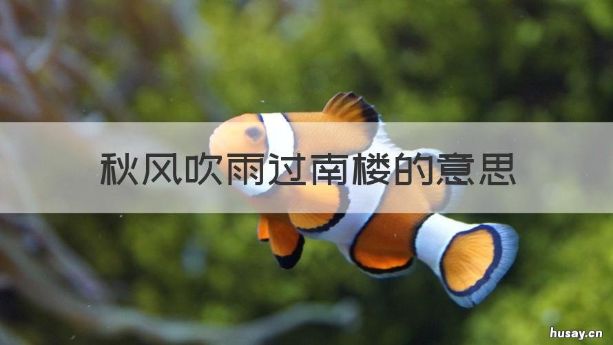 秋风吹雨过南楼的意思 秋风吹雨过南楼,一夜新凉已是秋是什么意思