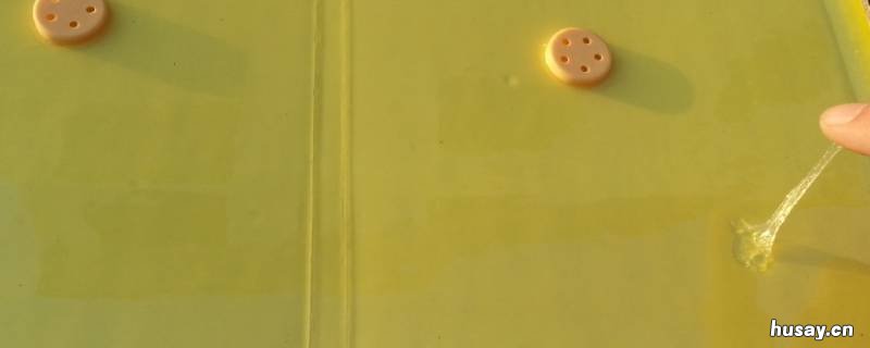 老鼠板上的胶用什么能洗掉 粘老鼠板胶水如何洗掉