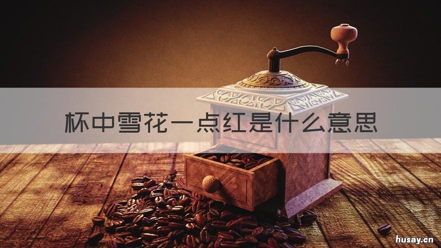 杯中雪花一点红是什么意思 第一杯雪花是什么意思
