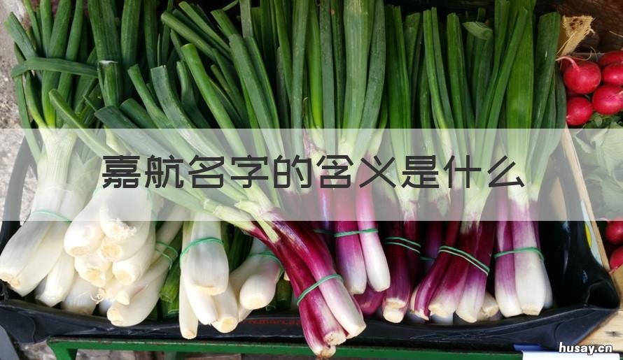 嘉航名字的含义是什么 嘉航名字的寓意是什么