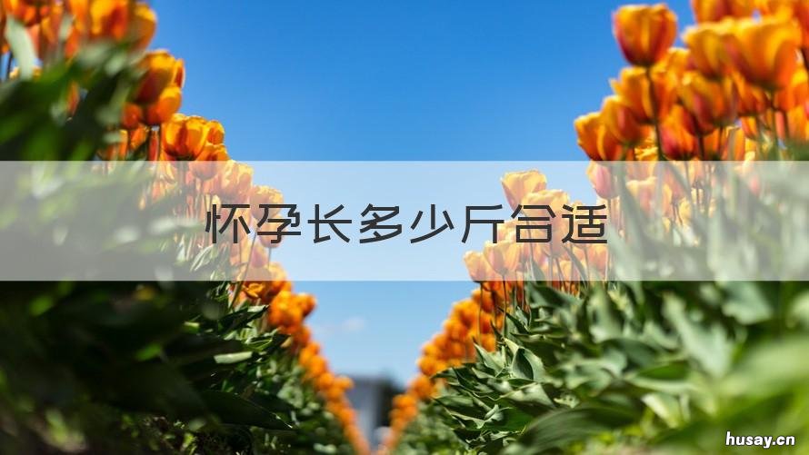 怀孕长多少斤合适 一般怀孕长多少斤合适