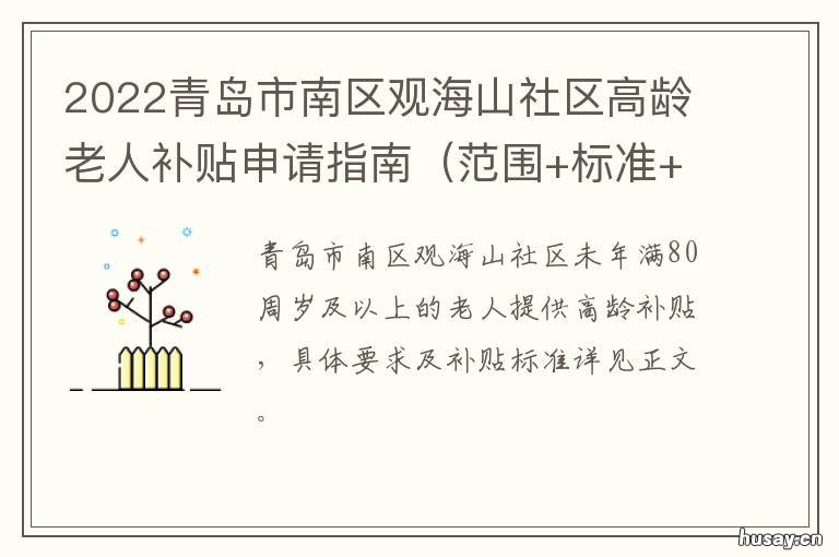 2022青岛市南区观海山社区高龄老人补贴申请指南 青岛海青村2020