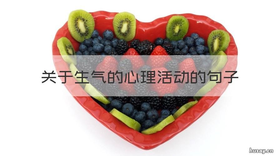 关于生气的心理活动的句子 生气的心理描写句子