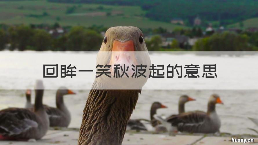 回眸一笑秋波起的意思 回眸一笑秋波起说什么的