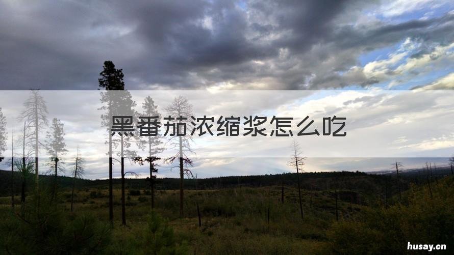 黑番茄浓缩浆怎么吃 黑番茄浓缩浆怎么吃最好