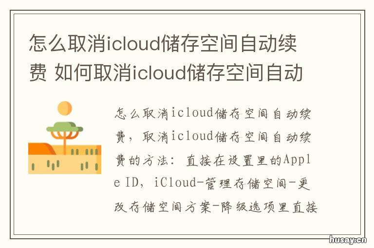 怎么取消icloud储存空间自动续费 icloud储存空间方案怎么取消自动续费