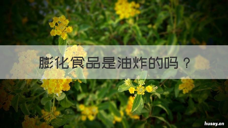 膨化食品是油炸的吗 膨化食品是不是油炸的