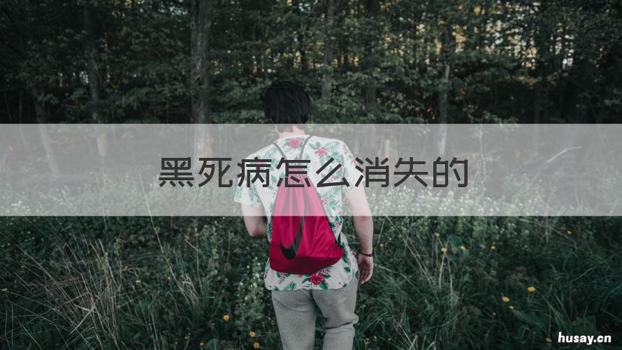 黑死病怎么消失的 黑死病为什么消失