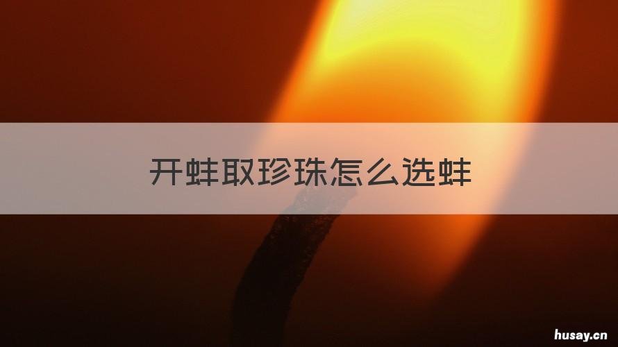 开蚌取珍珠怎么选蚌 如何挑选蚌取珍珠