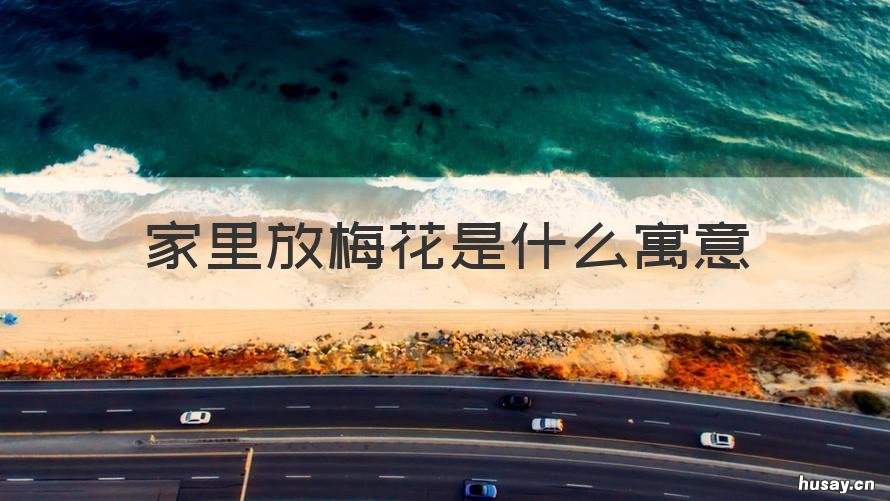 家里放梅花是什么寓意 梅花挂在家里象征什么