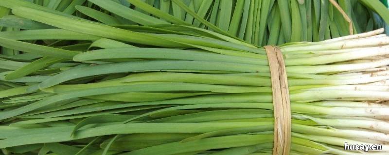 室内种植的蔬菜 室内种植的蔬菜可以吃吗