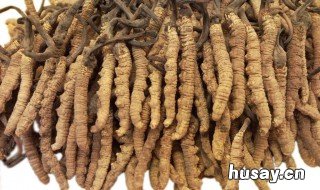 冬虫夏草功效和禁忌 冬虫夏草功效和禁忌吃法