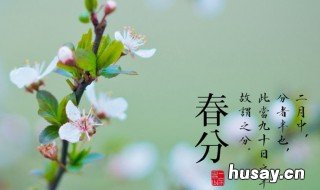 立春和春分是一回事吗 春分是不是就是立春