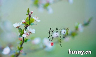 春分节气这天不能做的事 春分节气这天不能做的事情是什么