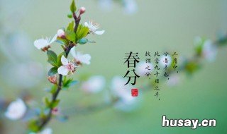春分有什么讲究禁忌 春分的风俗和禁忌