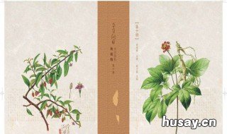 明代的本草代表作是 明代的本草代表作是谁