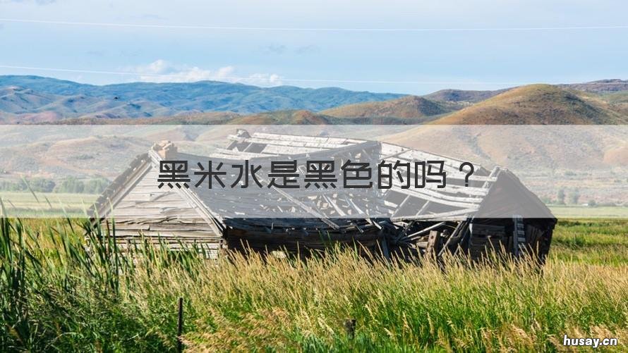黑米水是黑色的吗 黑米淘米水是黑色的吗
