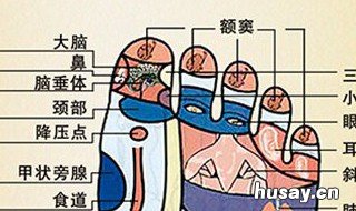 艾灸涌泉穴的禁忌有哪些 艾灸涌泉的功效和作用及忌讳