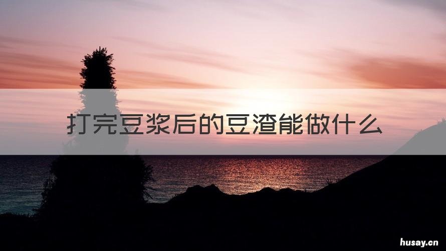 打完豆浆后的豆渣能做什么 打豆浆后的豆渣有什么用