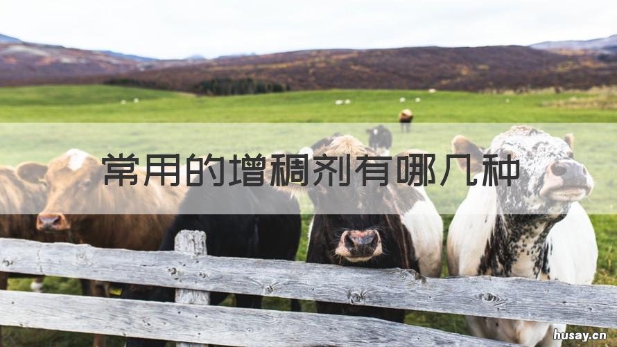 常用的增稠剂有哪几种 常用的增稠剂有哪些