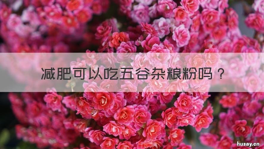 减肥可以吃五谷杂粮粉吗 五谷杂粮粉能不能减肥