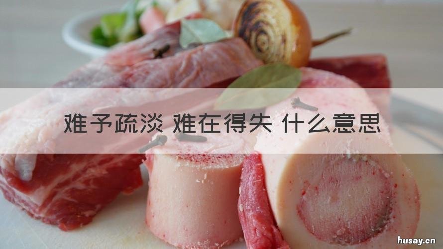 难予疏淡 难在得失 什么意思 得失少不免意思