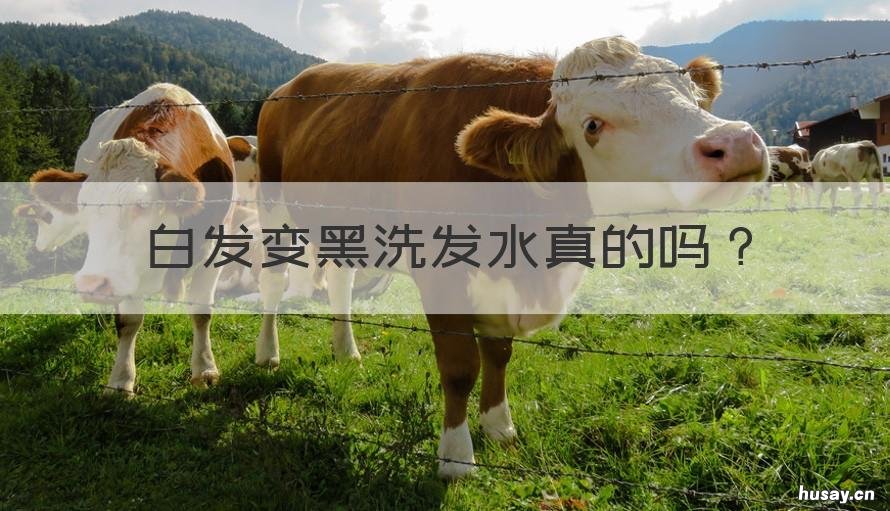 白发变黑洗发水真的吗 白头发洗发水会变黑是真的吗