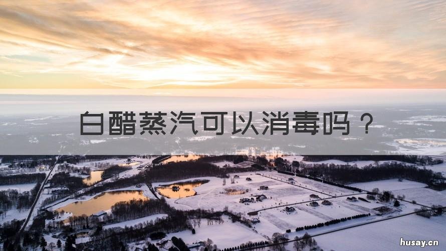 白醋蒸汽可以消毒吗 用醋蒸汽消毒吗