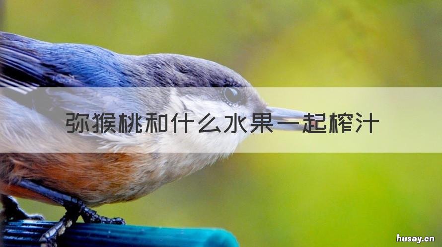 弥猴桃和什么水果一起榨汁 猕猴桃和什么榨汁好