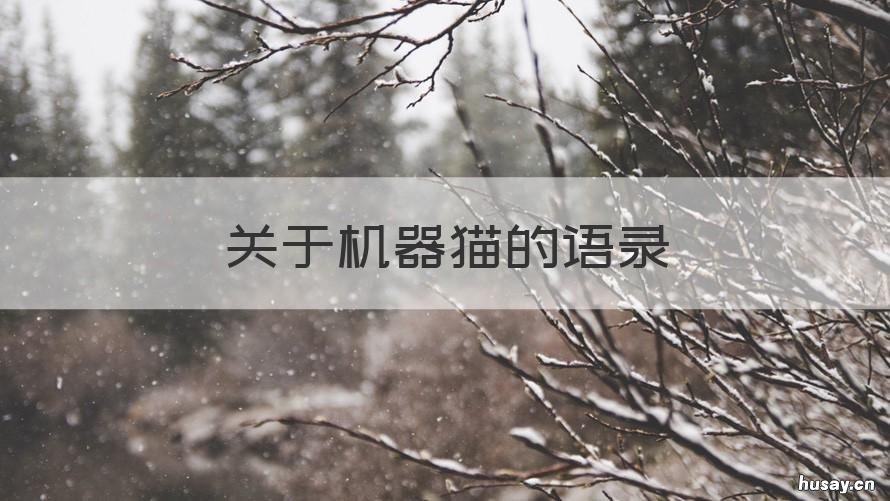 关于机器猫的语录 关于机器猫的语录有哪些