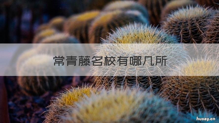 常青藤名校有哪几所 常青藤名校都有几所