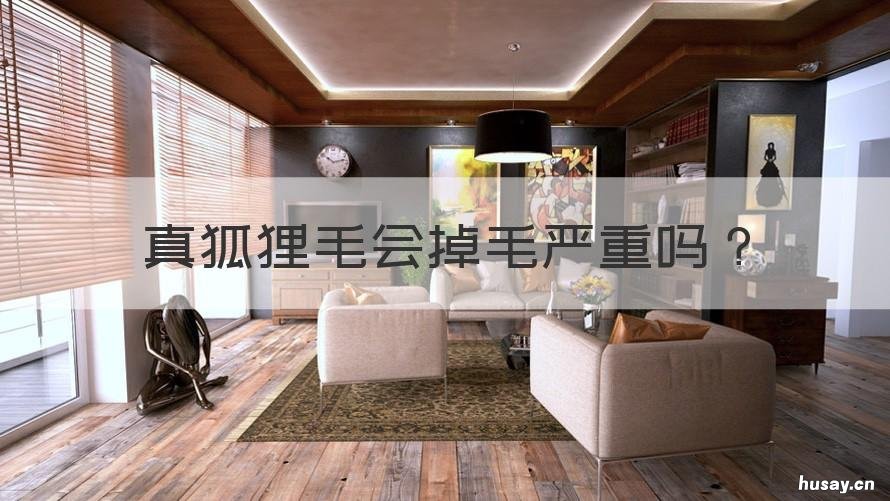 真狐狸毛会掉毛严重吗 狐狸毛掉毛严重吗