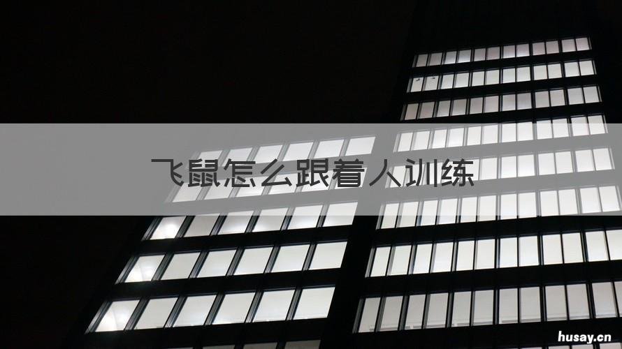 飞鼠怎么跟着人训练 新手训练小飞鼠