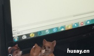 qq如何关掉短信验证 qq短信验证怎么关闭