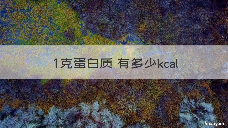 1克蛋白质 有多少kcal 1克蛋白质 有多少食物