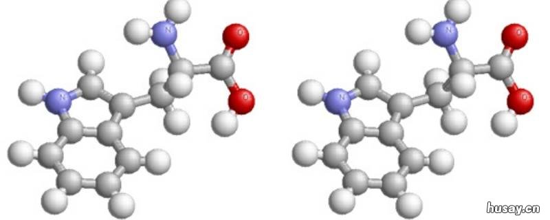 1克蛋白质 有多少kcal 1克蛋白质 有多少食物