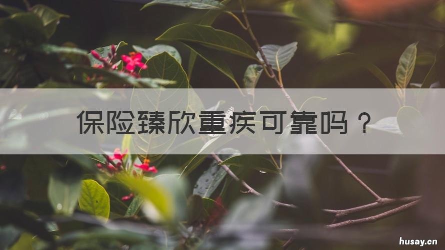 保险臻欣重疾可靠吗 臻欣重疾险退保能返多少钱