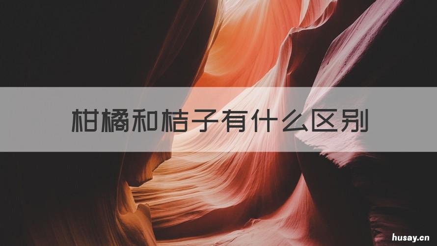 柑橘和桔子有什么区别 橘子和桔子和柑子的区别