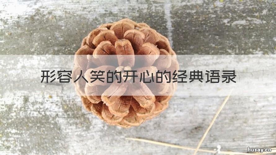 形容人笑的开心的经典语录 形容人笑的很开心