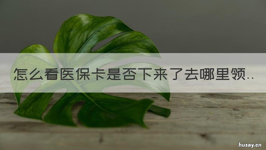 怎么看医保卡是否下来了去哪里领 怎么查医保卡到哪了