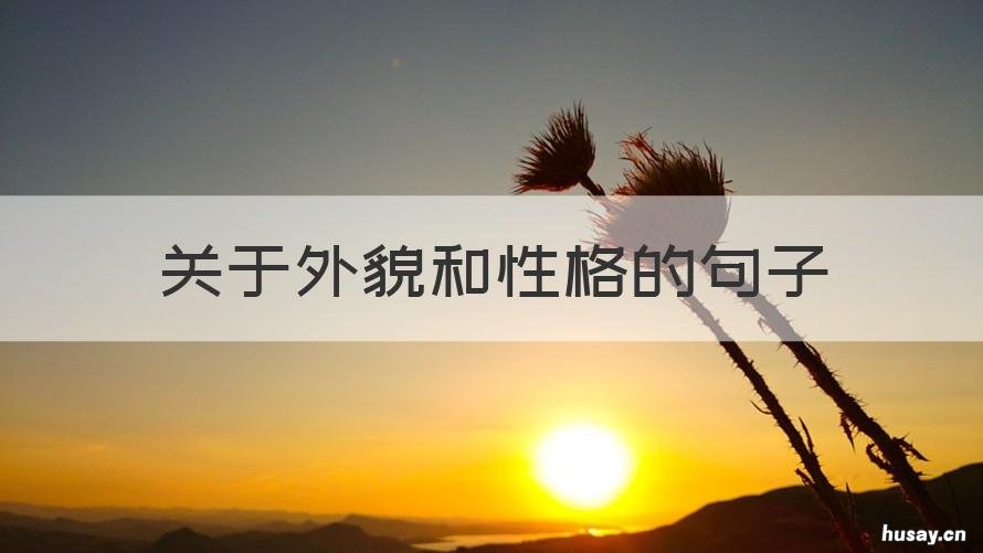 关于外貌和性格的句子 表达外貌性格的好句子