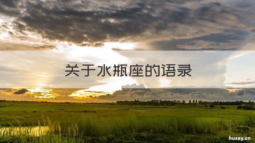 关于水瓶座的语录 水瓶座语录短句